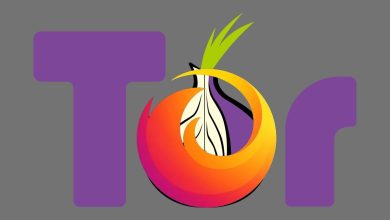 Firefox için Tor Eklentisi Geliştirilecek