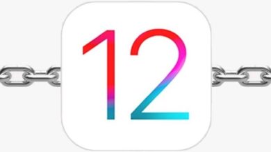 Jailbrek Karşıtı iOS 12.4.1 Çıktı