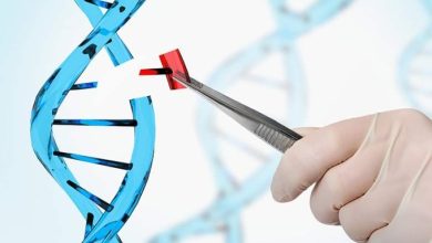 Mutasyon Tabanlı Hastalıklar için Gen Düzenleme Aracı
