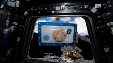 Astronotlar Uzayda Kurabiye Pişirecek