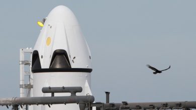 SpaceX Crew Dragon Paraşüt Testlerini Başarıyla Tamamladı